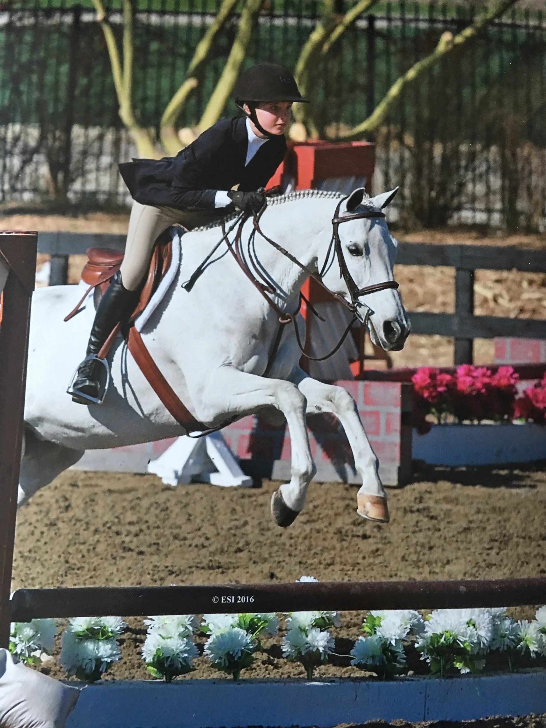 Georgia and Steel Magnolia