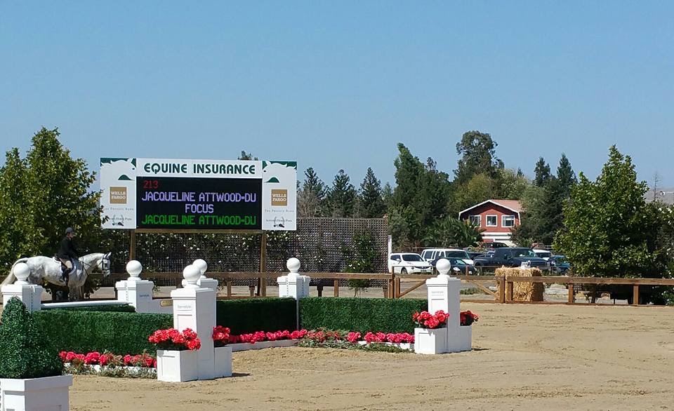 First horse show for Jackie and Focus!