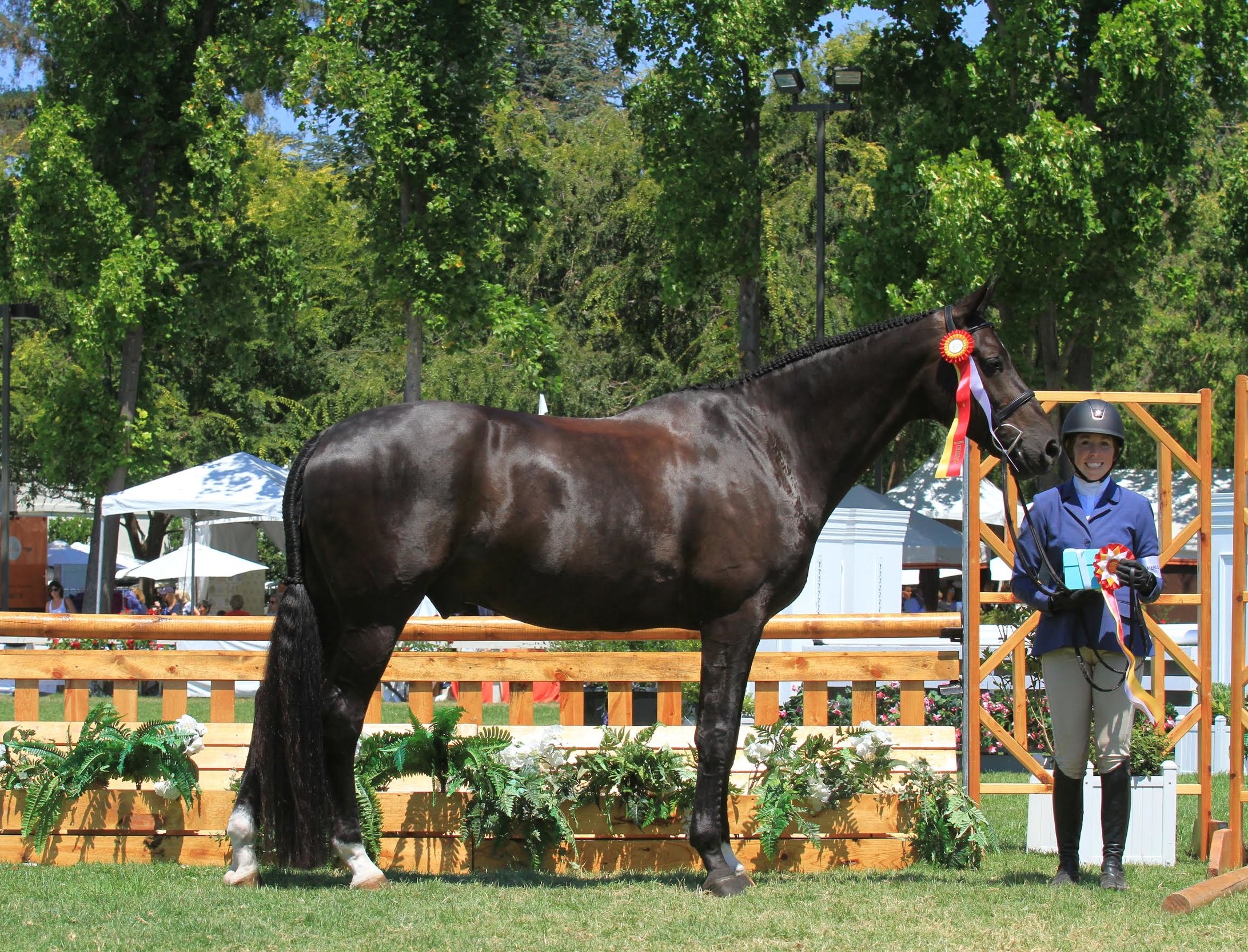 Jackie and Brave were Reserve Champion at Menlo Charity Horse Show