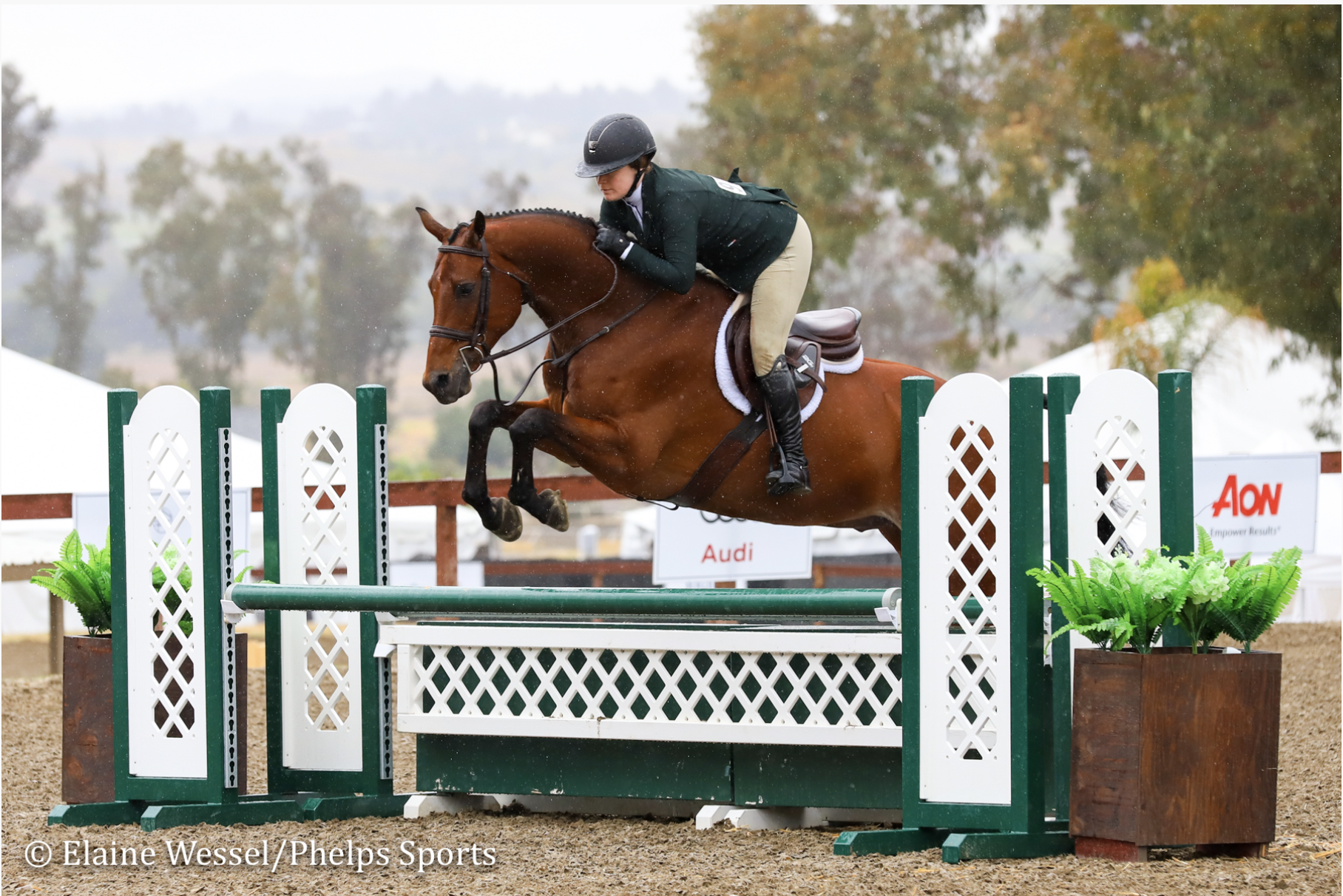 Kat Bassett and Lionheart