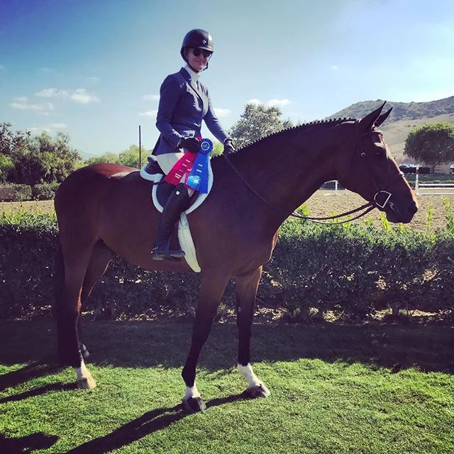 Great start for team EDSS ! Erin riding Romeo for Cathy Hayes was 2nd in the model and the under saddle then first and second over fences in the high performance confirmation hunters ⭐️ .
.
.
.
#cwd #charlesowen #essexclassics