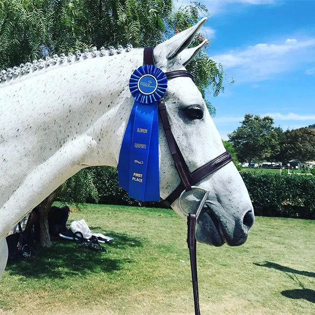 Great first week @blenheimequisports for EDSS
Congrats to everyone and good luck this week ⭐️
.
.
.
.
#cwd #charlesowenhelmets 
#vssriders #equitexcustom