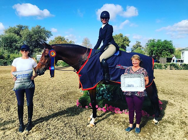 Great wrap up for day two @blenheimequisports ⭐️ Erin Duffy and Romeo owned by Cathy Hayes took the blue in the USHJA Green Horse Incentive Championship 👑🏆🥇