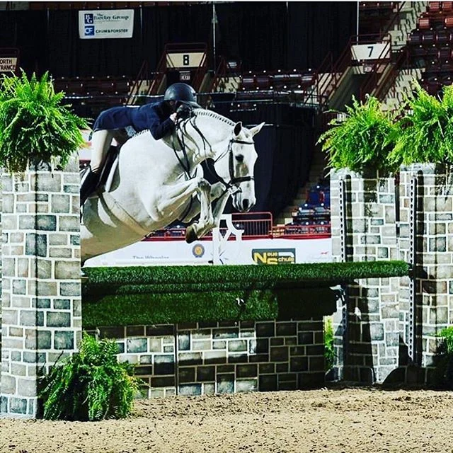 Great week @pa_nationalhs ⭐️ Jackie and the boys had a super week and finished up 10th in the classic on Spotlight. Next stop KENTUCKY 🌾 .
.
.
#essexclassicsridingshirt #cwd
#charlesowenhelmets #paralanti #habitapparel #valenciasaddlery #equitexcust