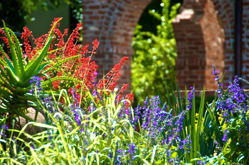 Flower Garden
