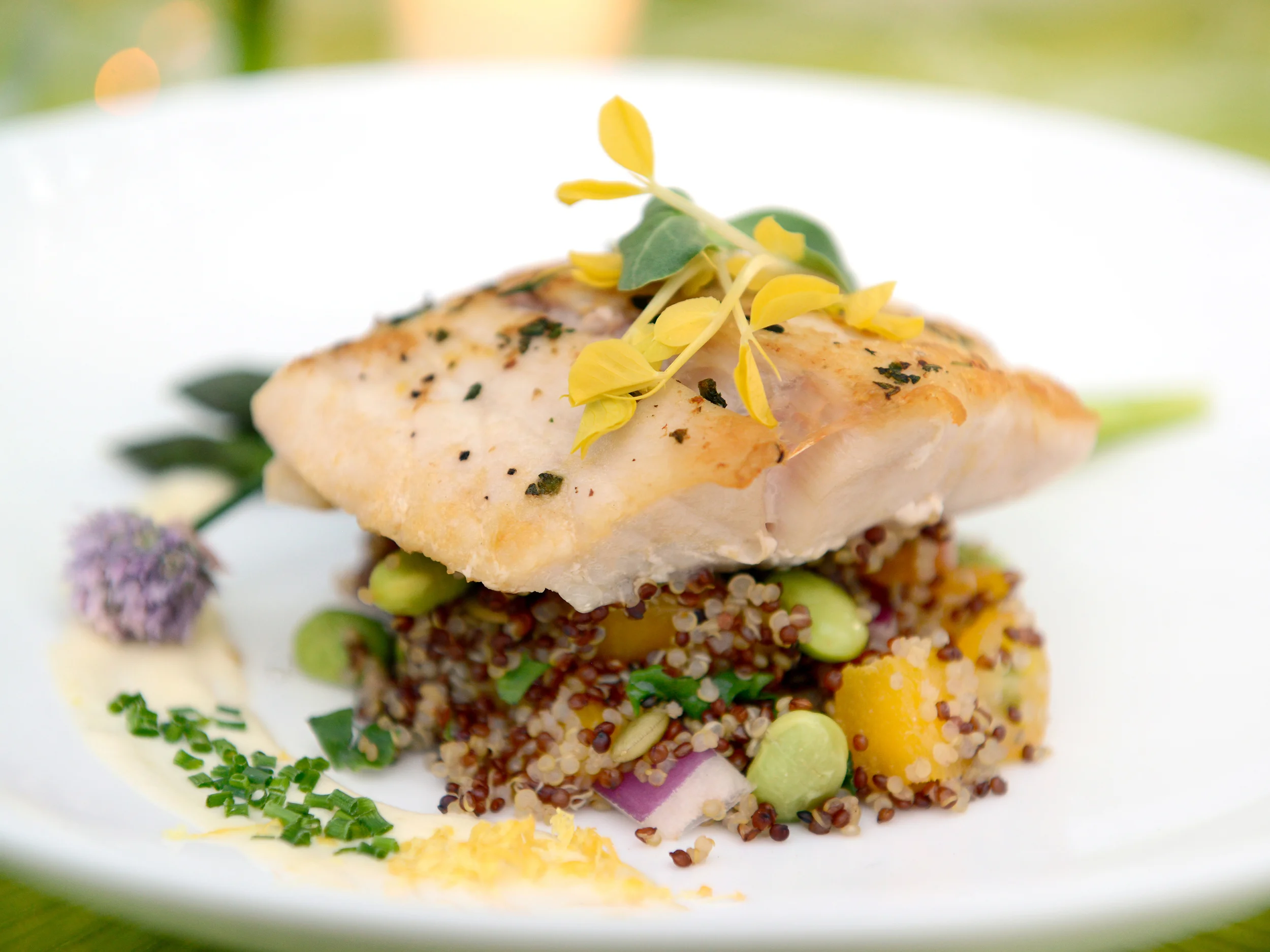 Plated Fish Quinoa.jpg