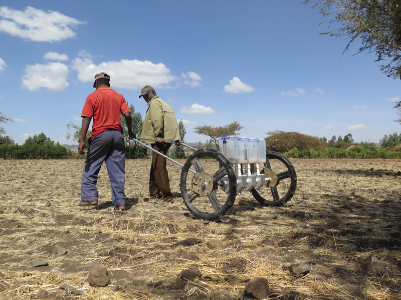 Teff Row Planter