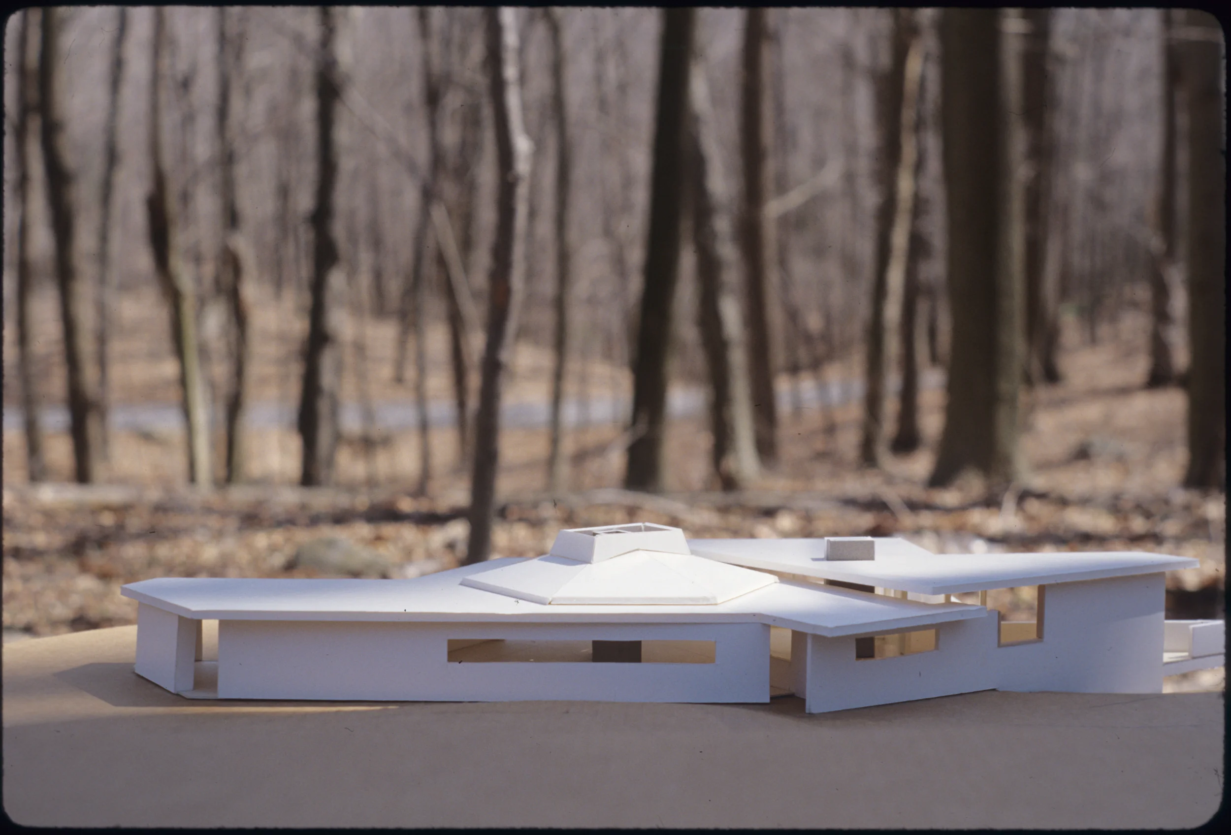 M residence f17.jpg