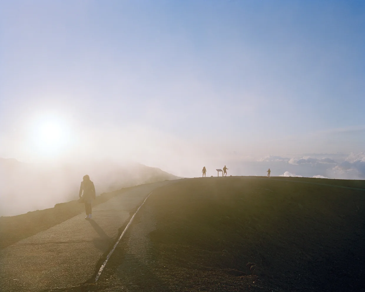 In the Fog