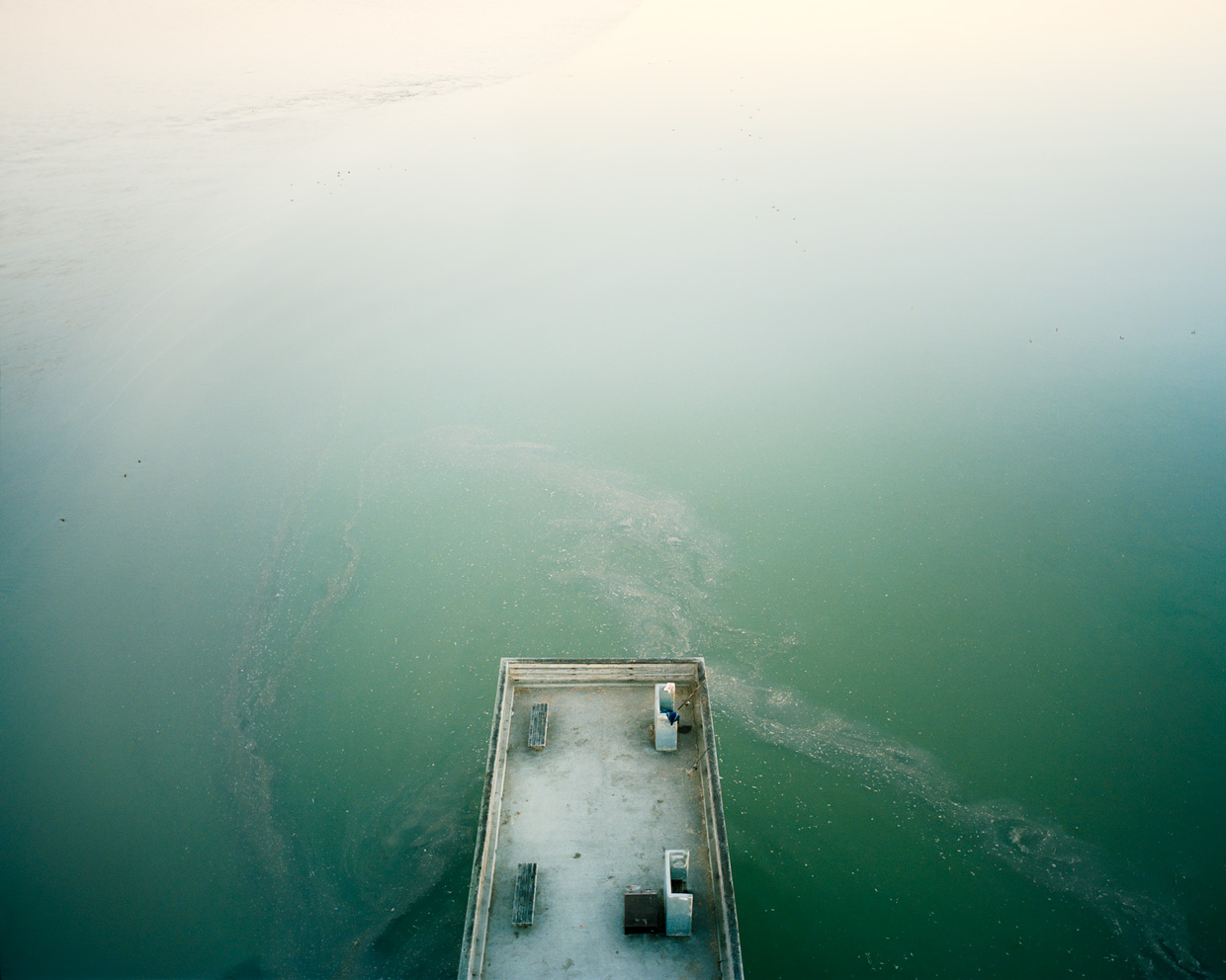 Dumbarton Bridge (#2), 2014