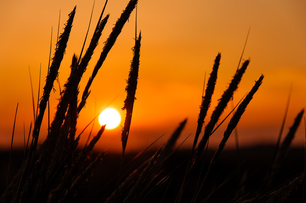  Using the sun to shoot silhouettes with a fiery sky during golden hour light. 