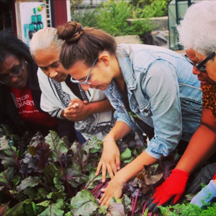 CAFB's food assistance partners learning all the best reseeding techniques in our Urban Demonstration Garden