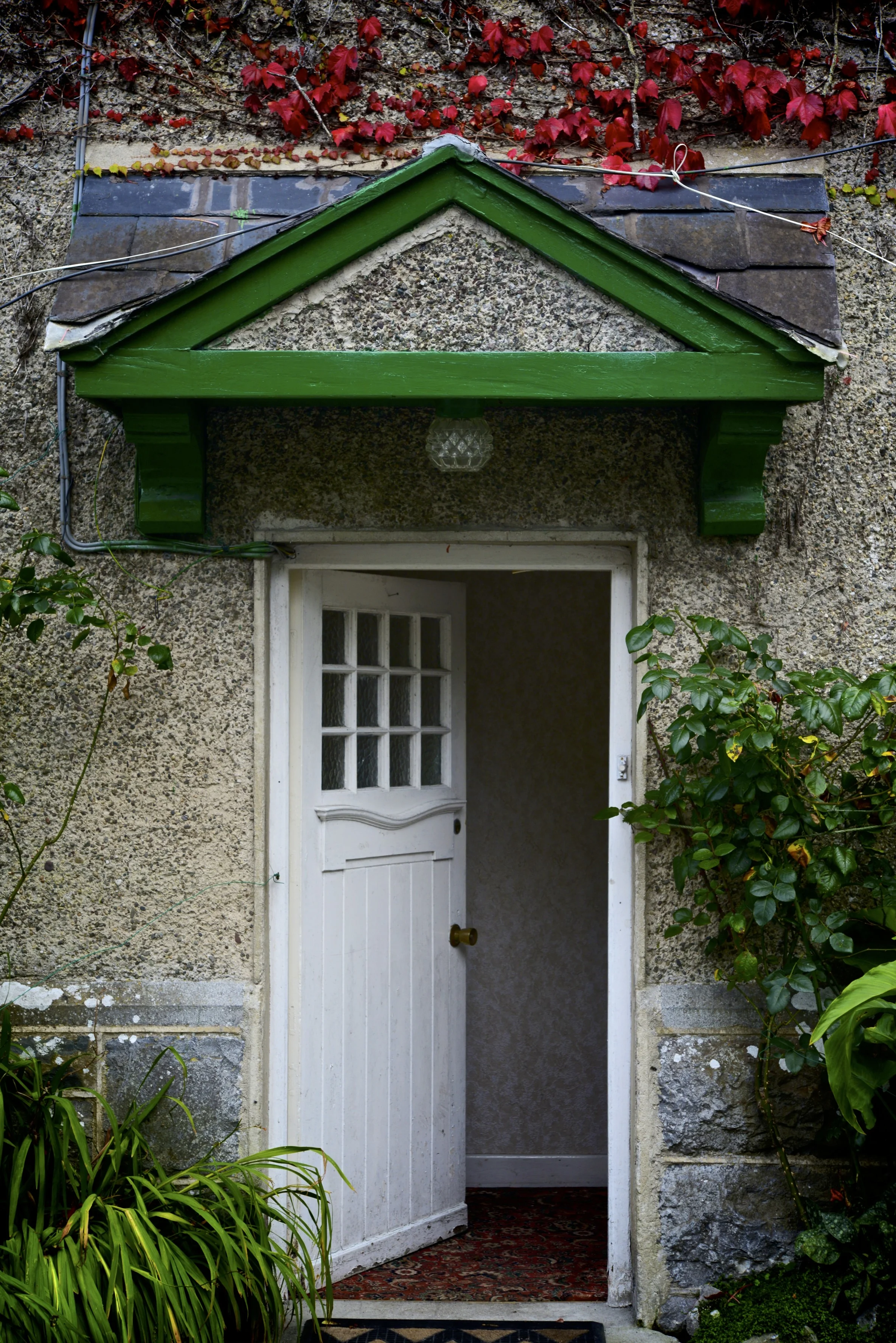 DSC_2983.jpg