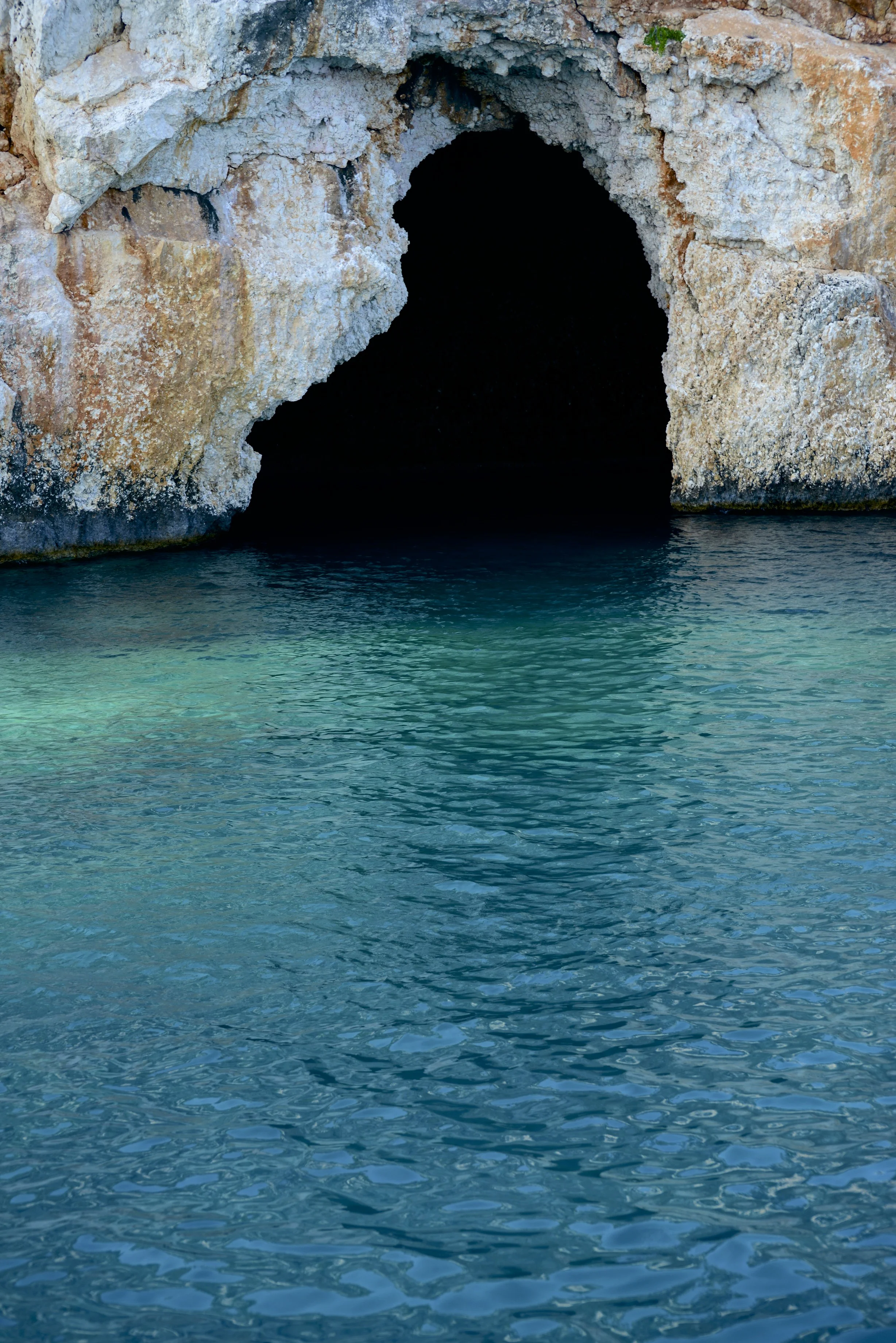 DSC_0437.jpg