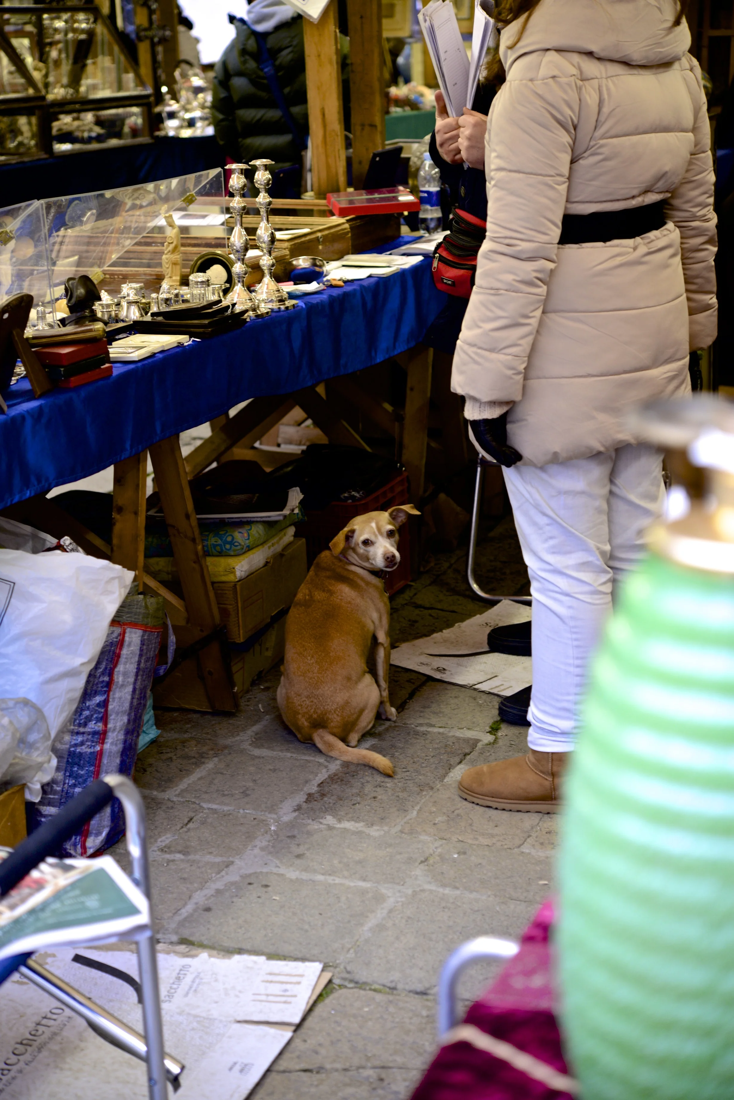 DSC_4494.jpg