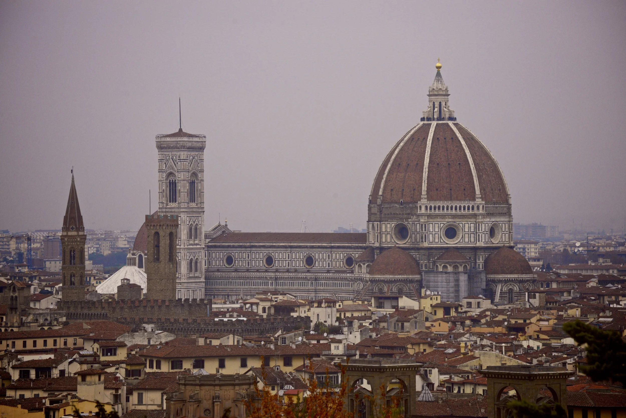 DSC_4682.jpg