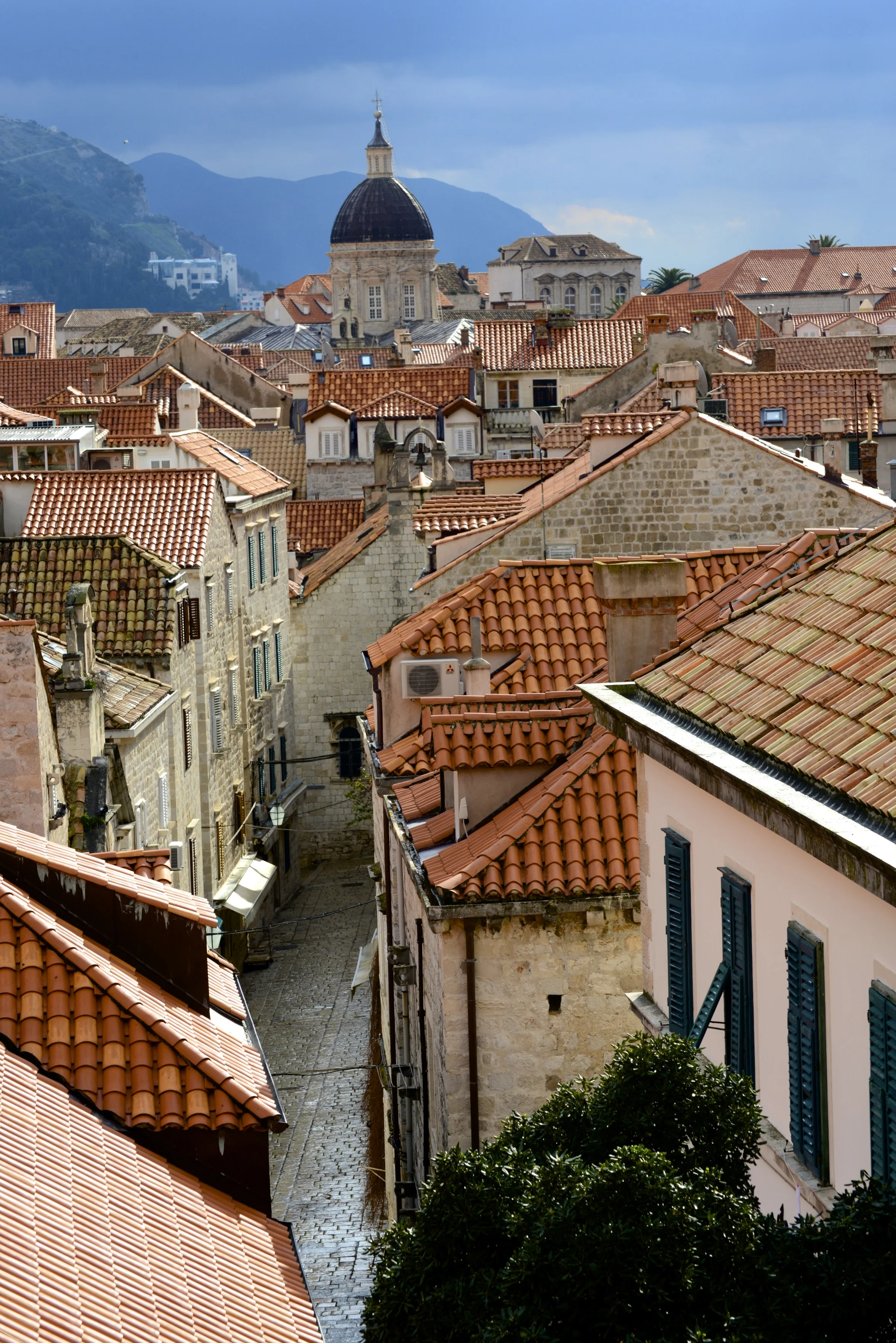 DSC_7578.jpg