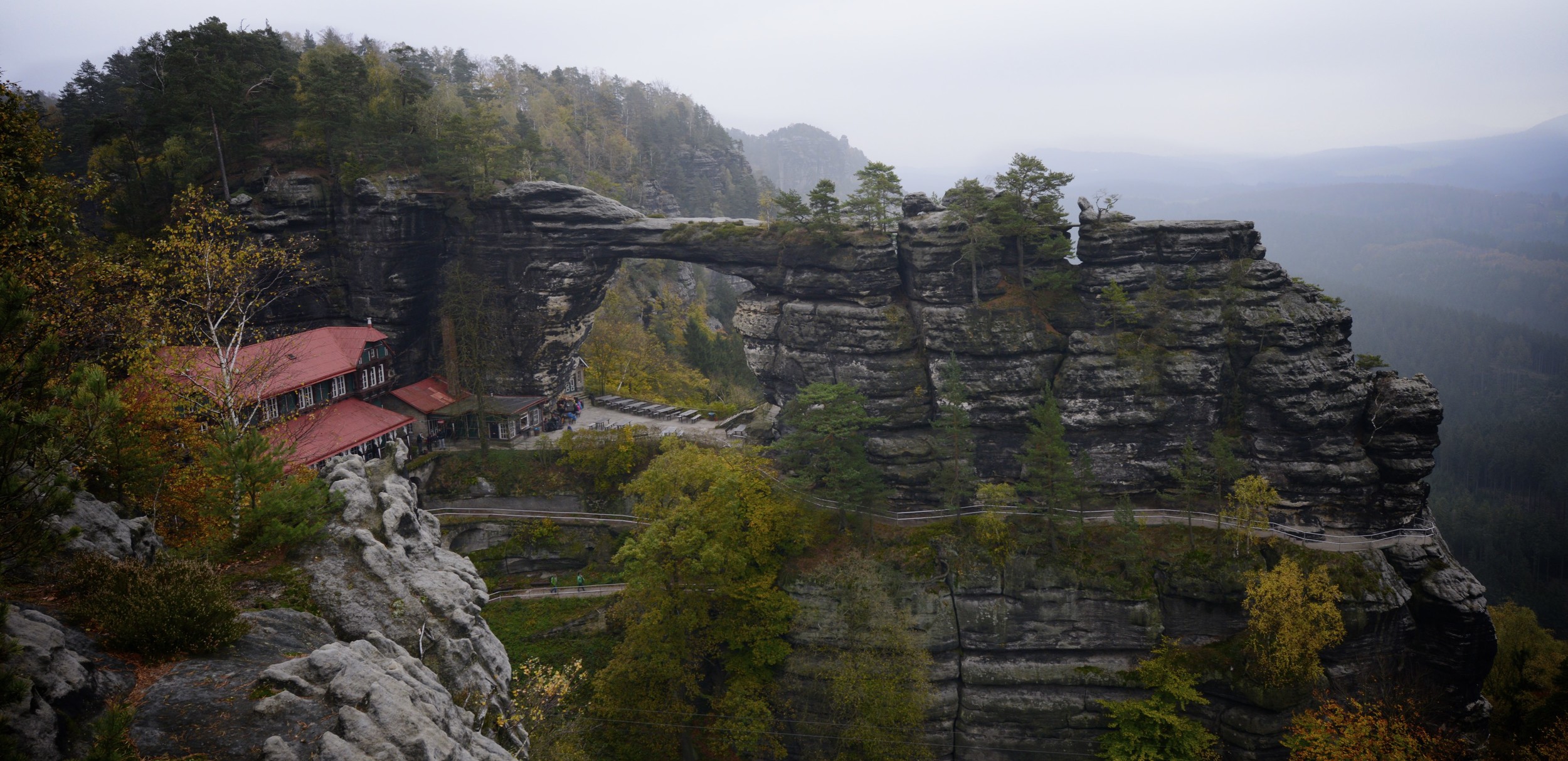DSC_0664.jpg