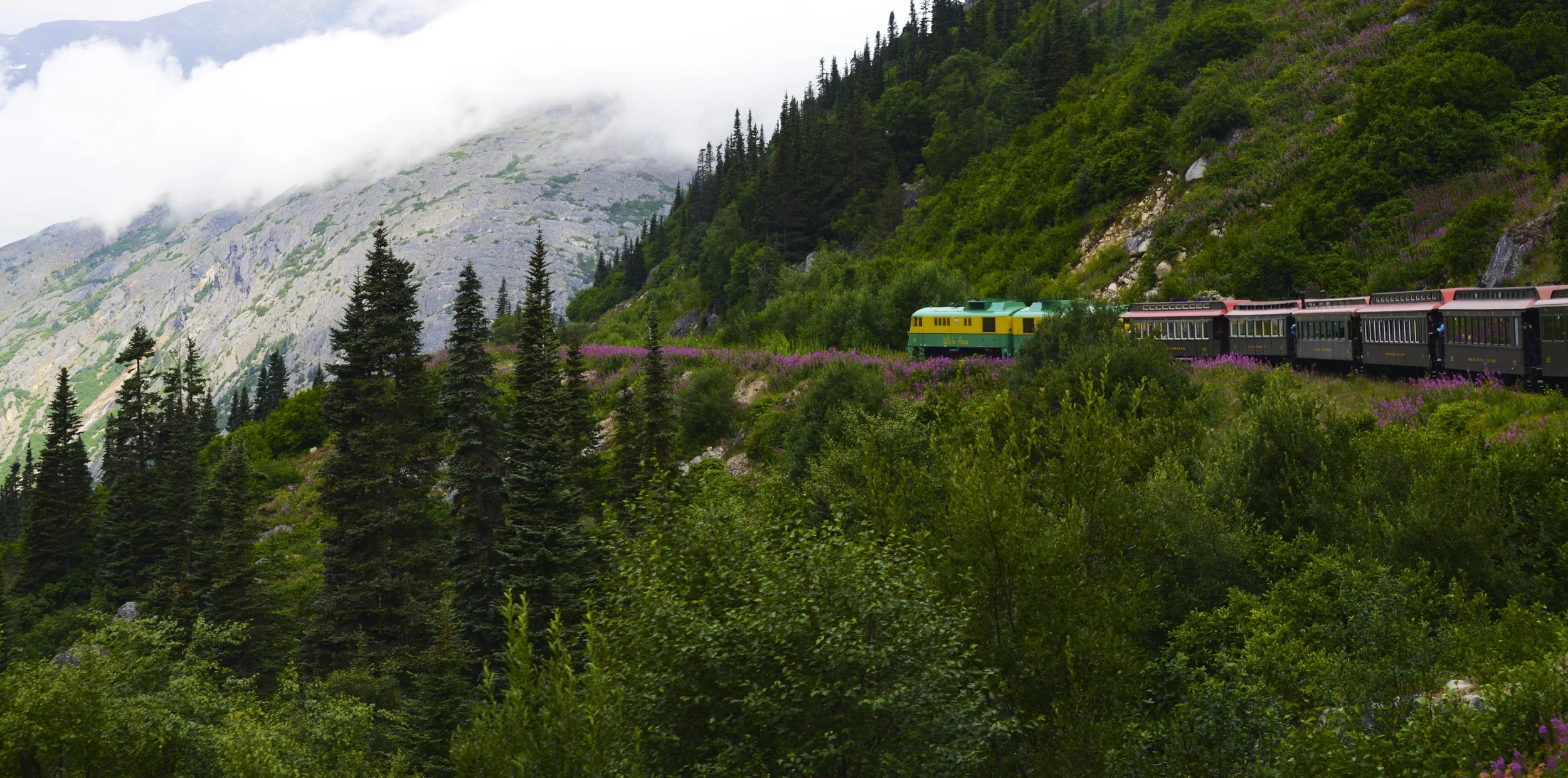 DSC_6160.jpg