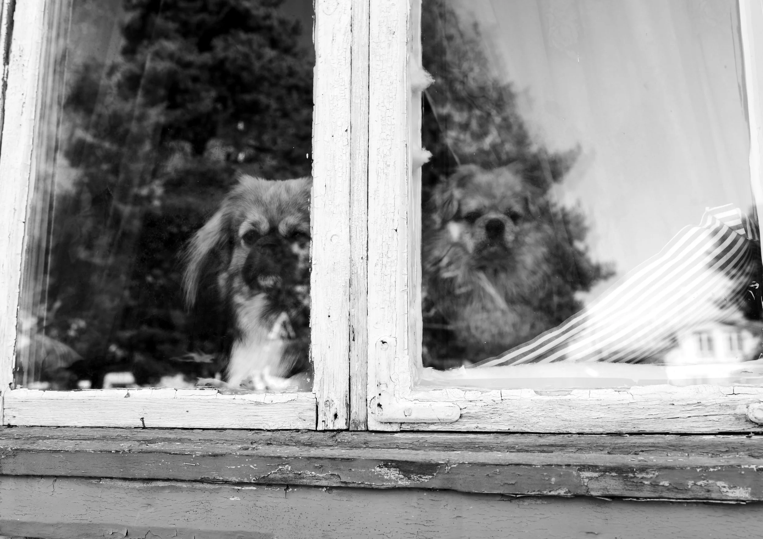 DSC_0838.jpg