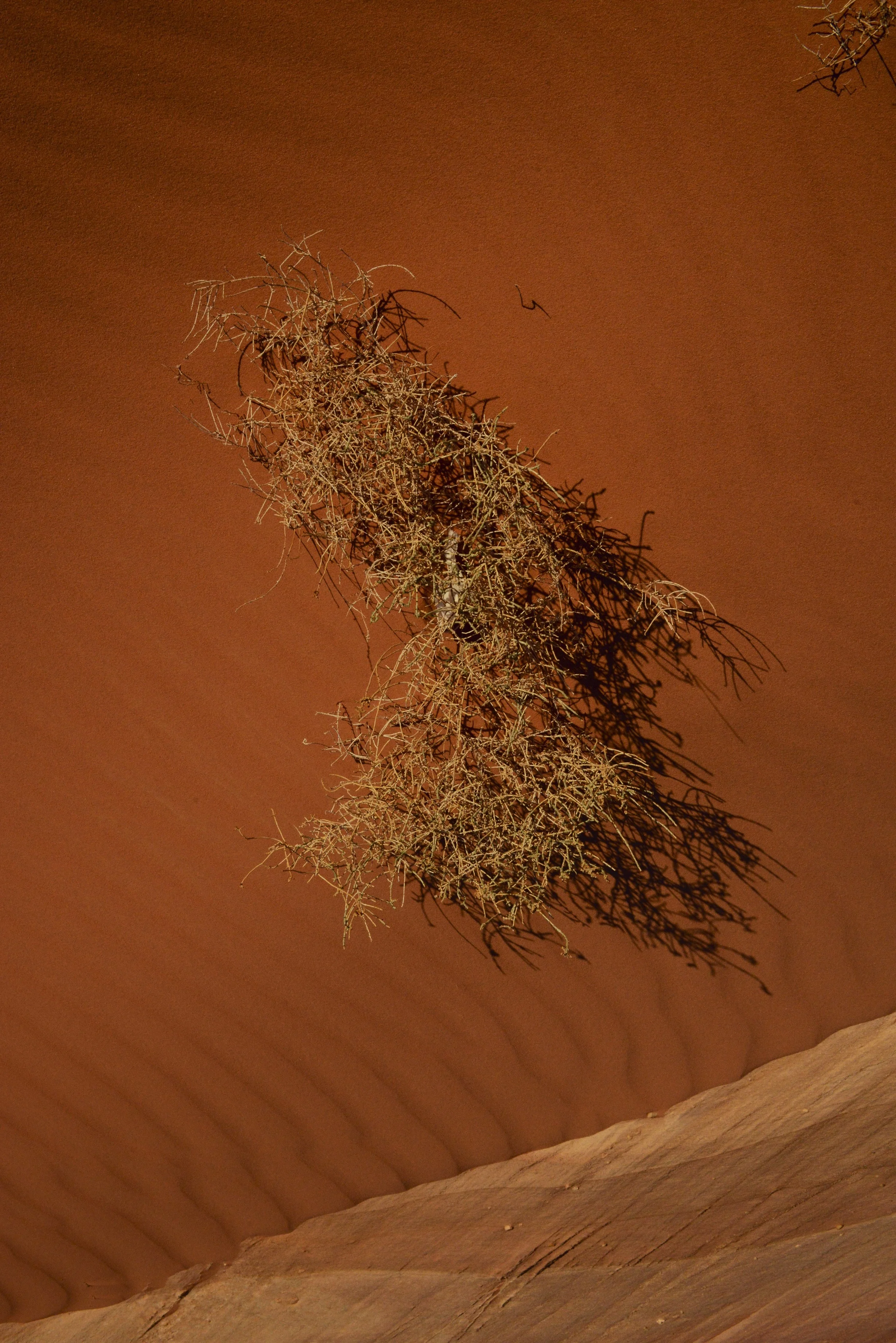 DSC_5472.jpg