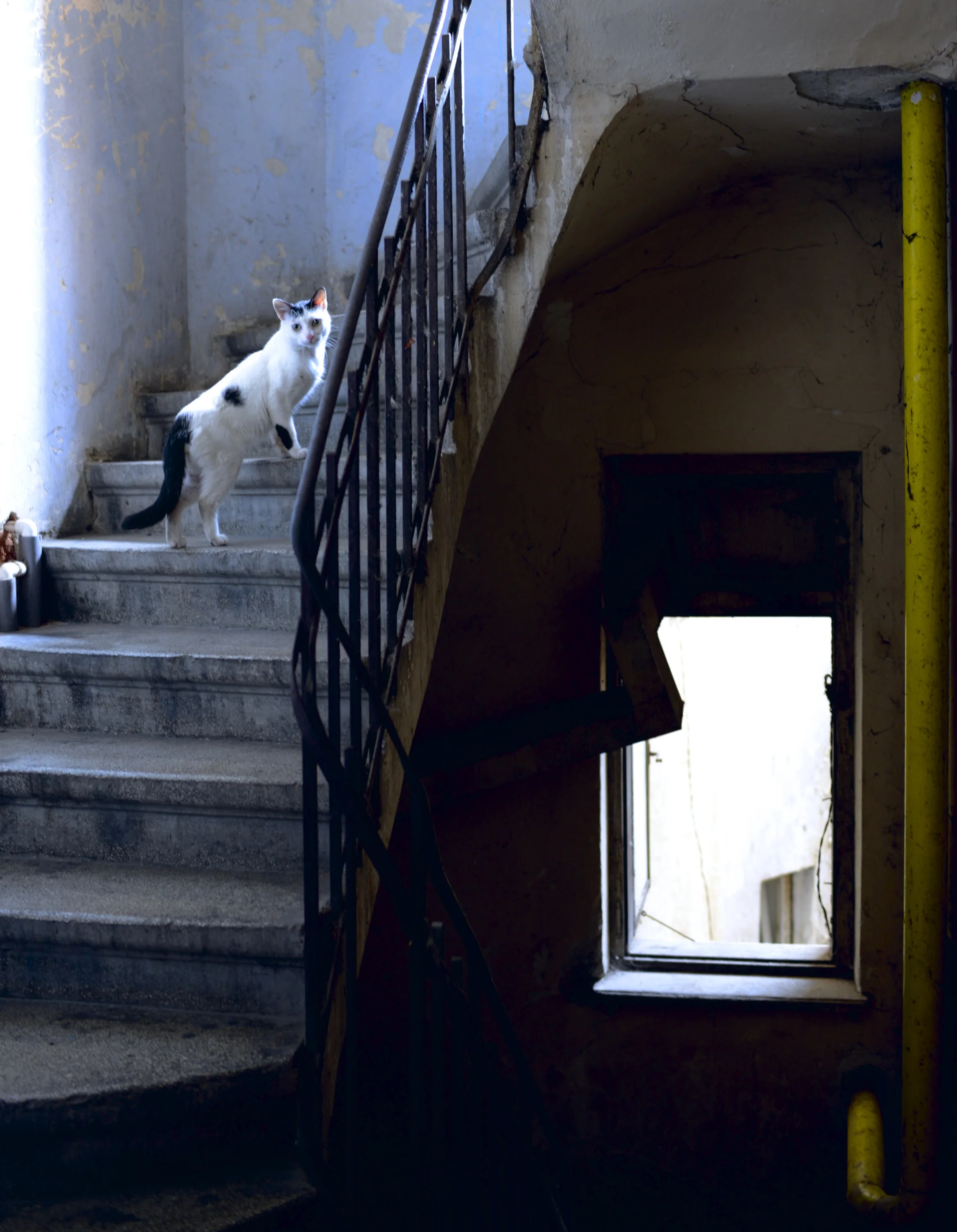 DSC_1406 - Version 2.jpg