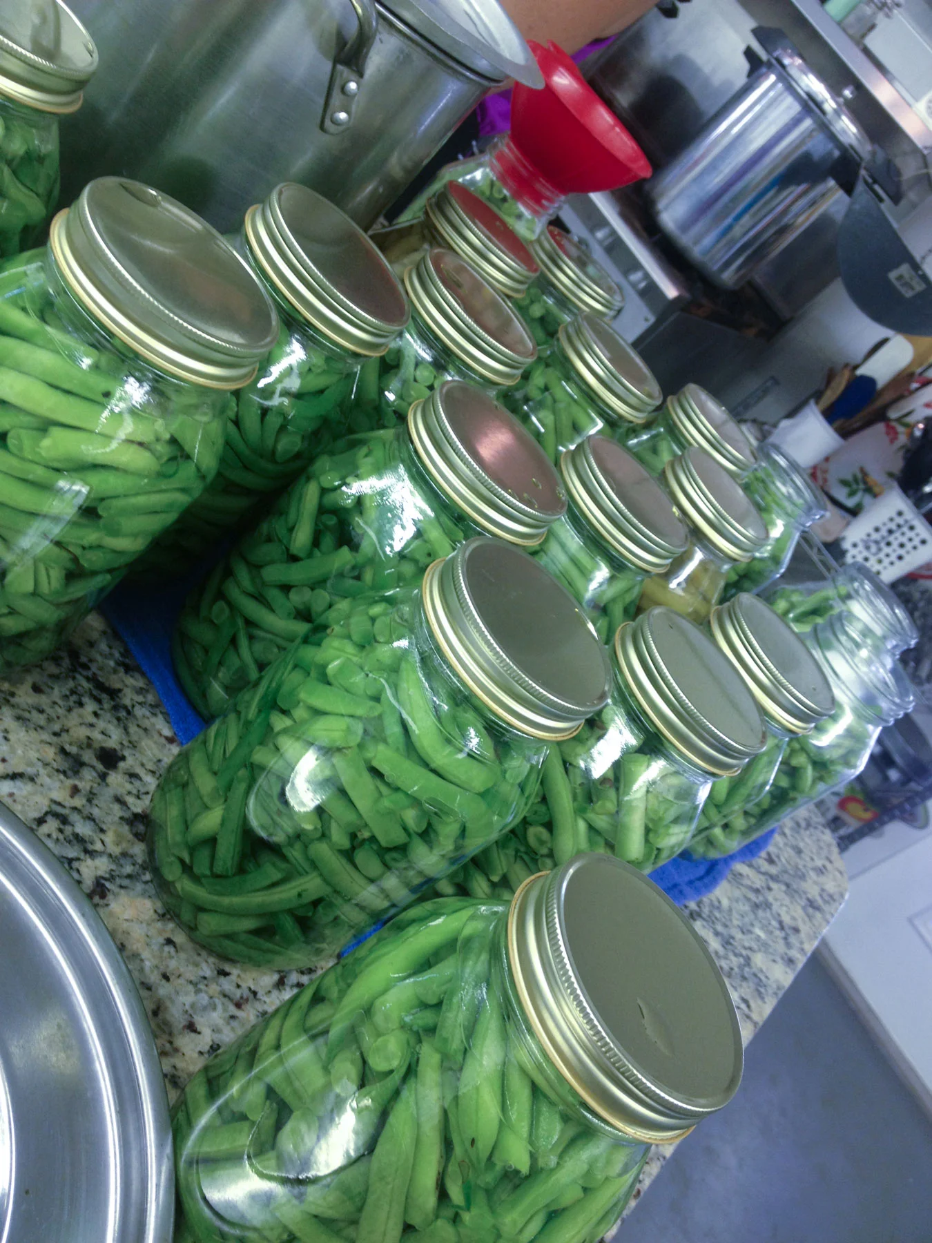 greenbeans.jpg