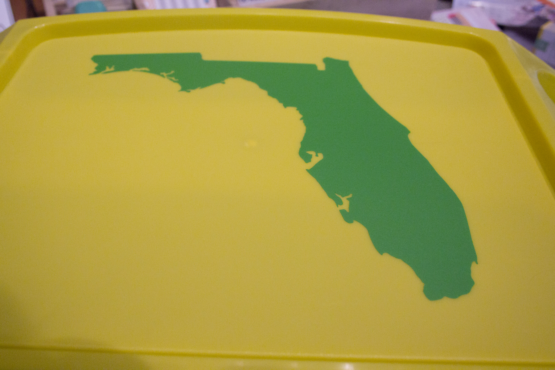 cut the silhouette out of florida on the silhouette cameo.