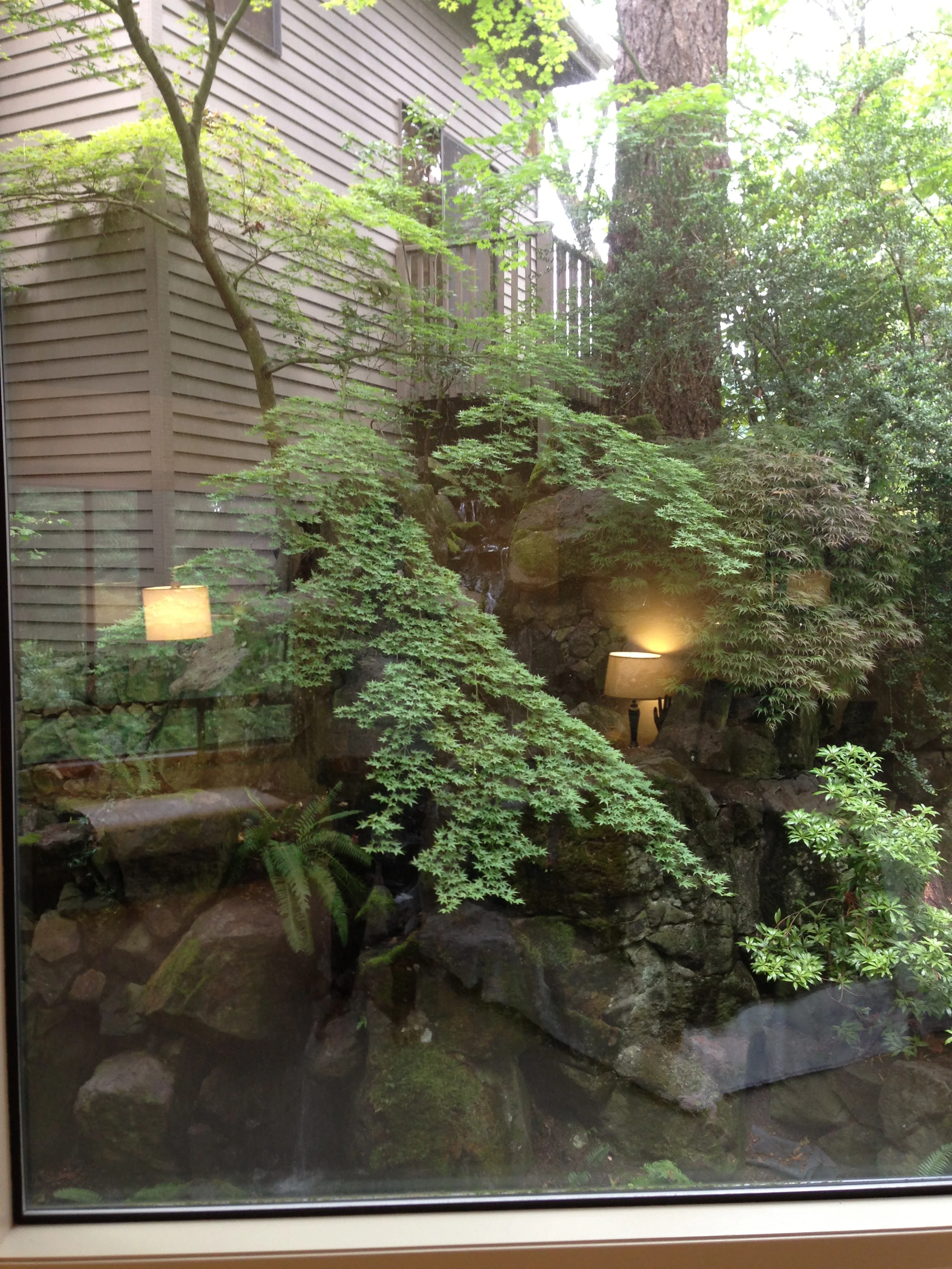 2013-06-23 12.42.50.jpg