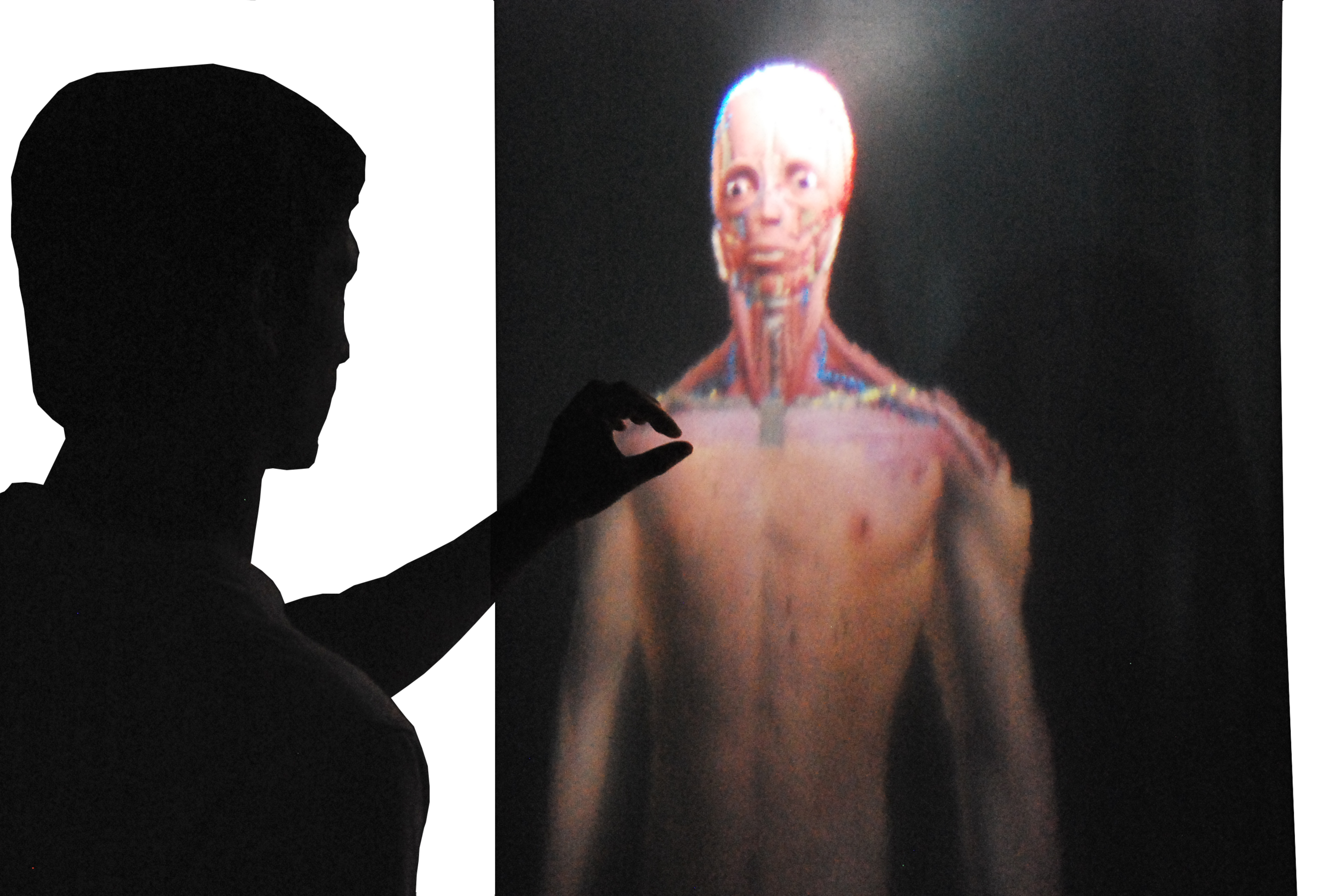 bodipod (2012): remote pinch gesture enlarging anatomical model