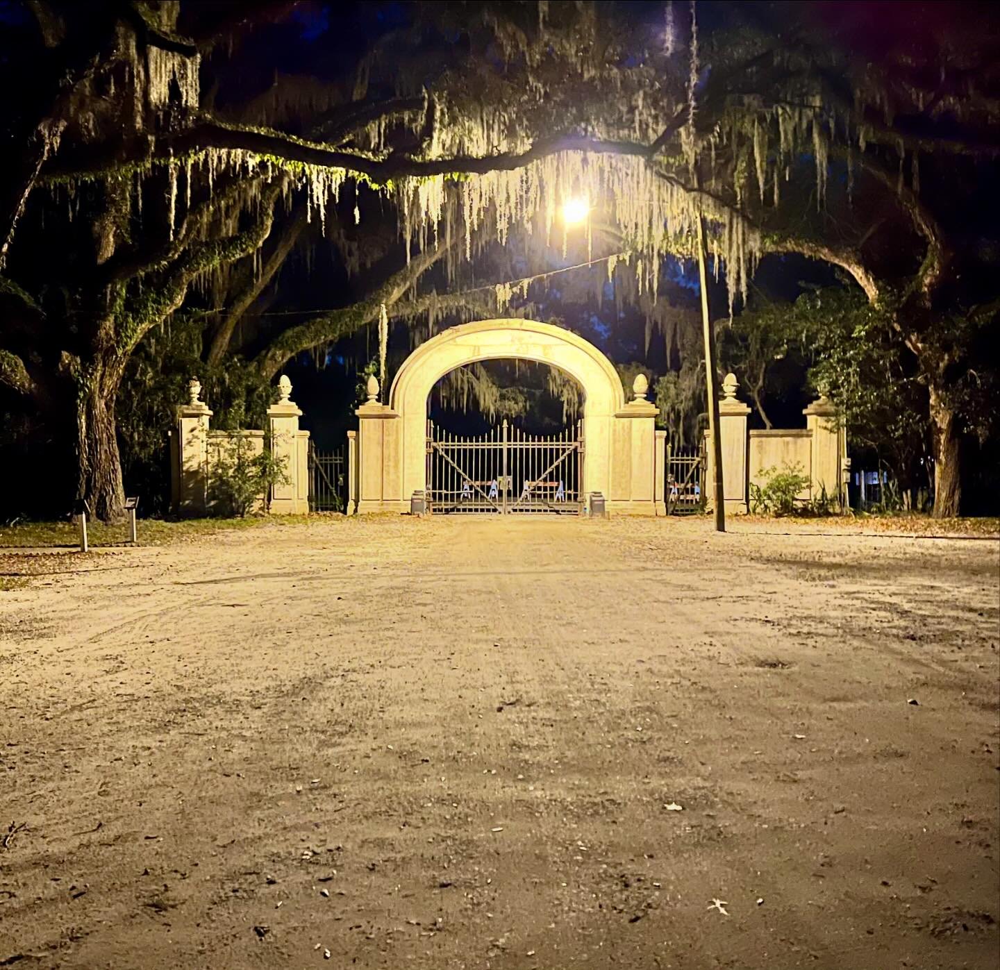 Surrounded by the natural beauty of nearly 400 southern live oaks bathed in moonlight at Wormsloe&rsquo;s beautiful and historic Live Oak Avenue was a fabulous end to a productive week. 

#itsgreattobehome 
#creativedirectorlife 
#wormsloe 
#fridayvi