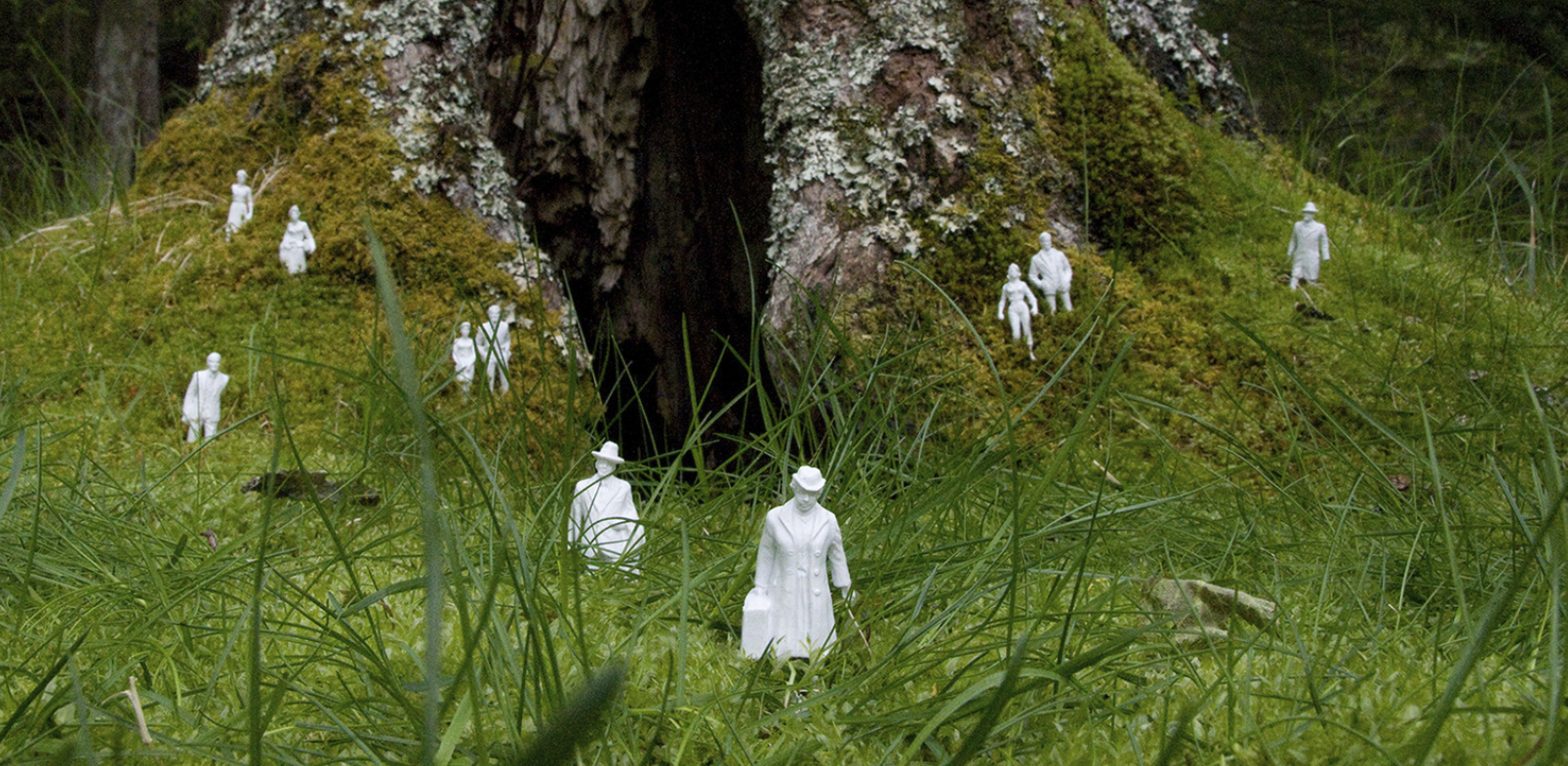 Newfounds_AsticuGardens_Crop.png