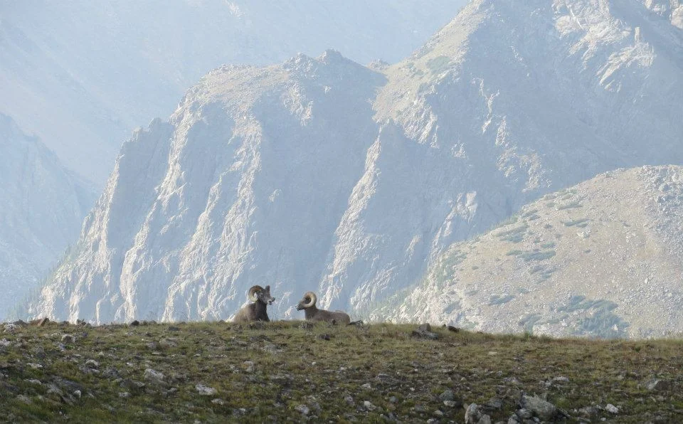 Trail Ridge Road, Rocky Mountain National Park