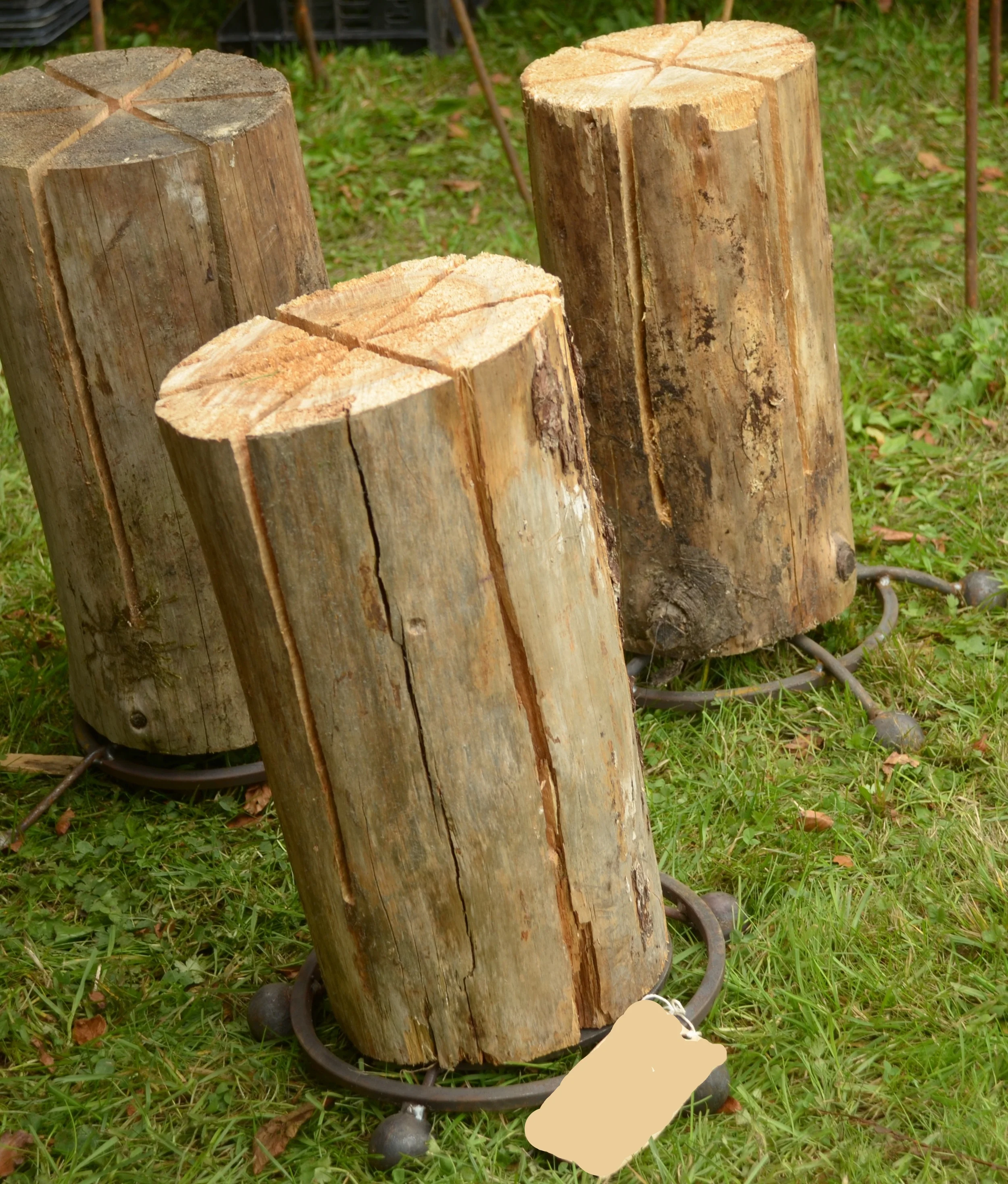 A variety of bases on show at Mapperton House