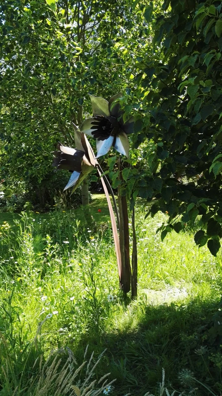 7-8ft high Daffodils and leaves in their natural surroundings. SOLD but similar available on request...