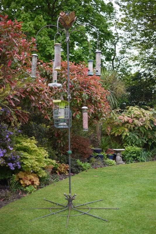 Bespoke bird feeder for the very keen twitcher!