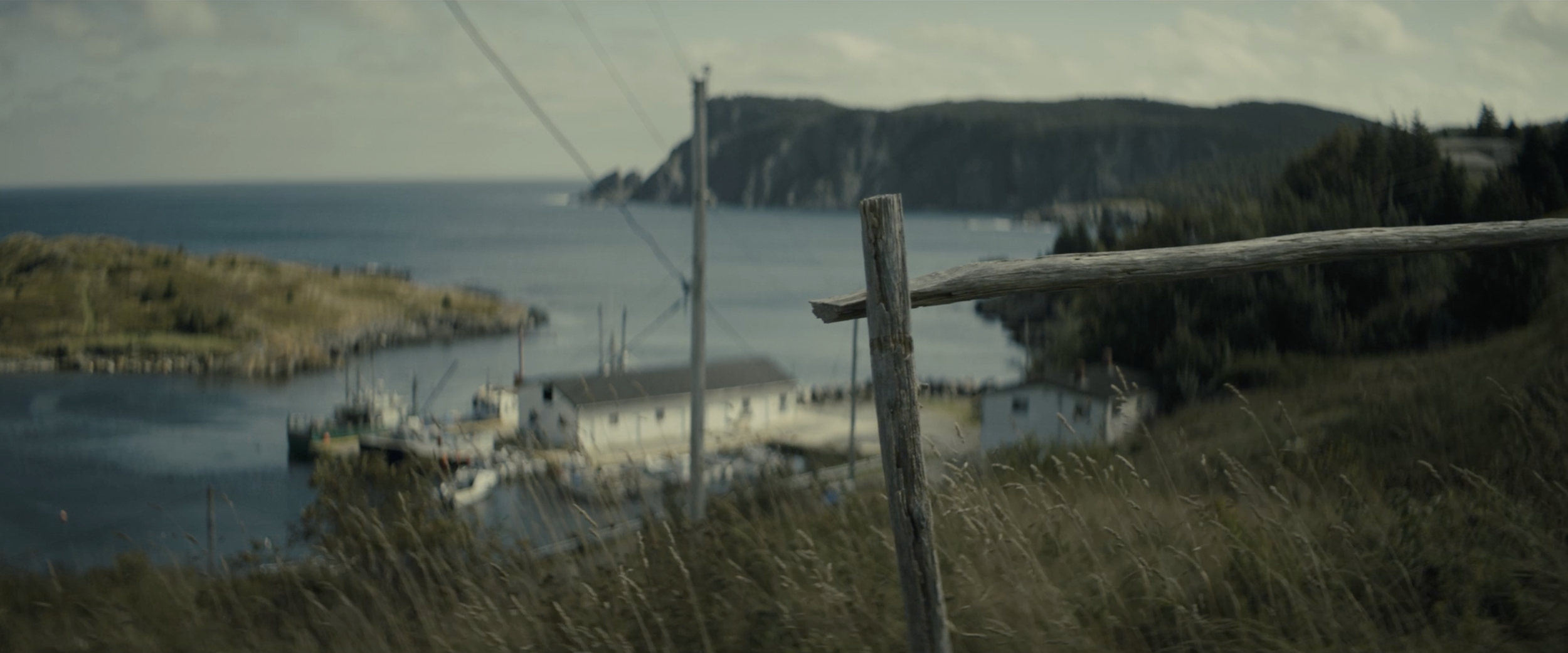 Screenshot 2026-03-10 at 12.08.23 PM.png