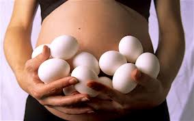 Choline, found in egg yolks are an essential micronutrient for a healthy paleo pregnancy. 