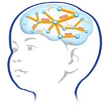 DHA helps babies brain, eye and overall neurological health