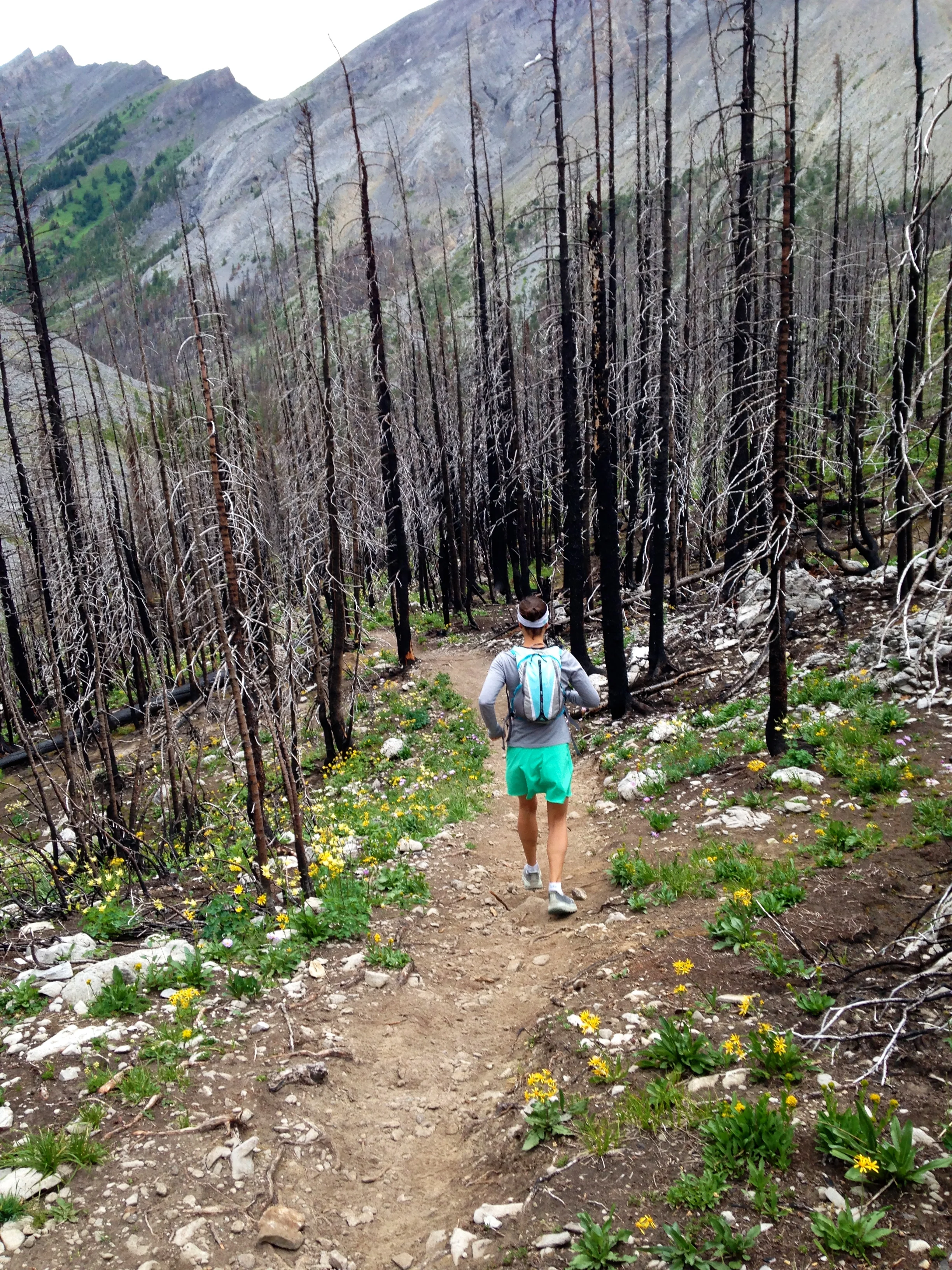 This was a cloudy day last week and a beautiful run through the wild arnica (good for tissue healing) around Buller Pass. This was 30mins from my house. That makes me happy! 