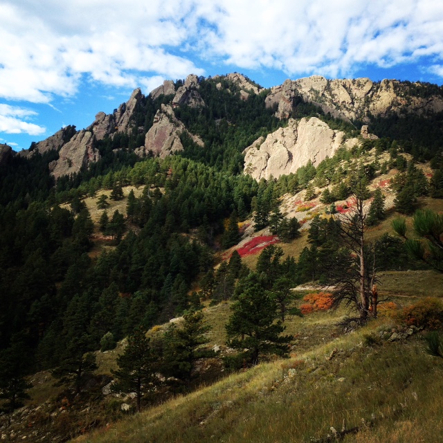 Gently moving in nature has remarkably restorative properties. 