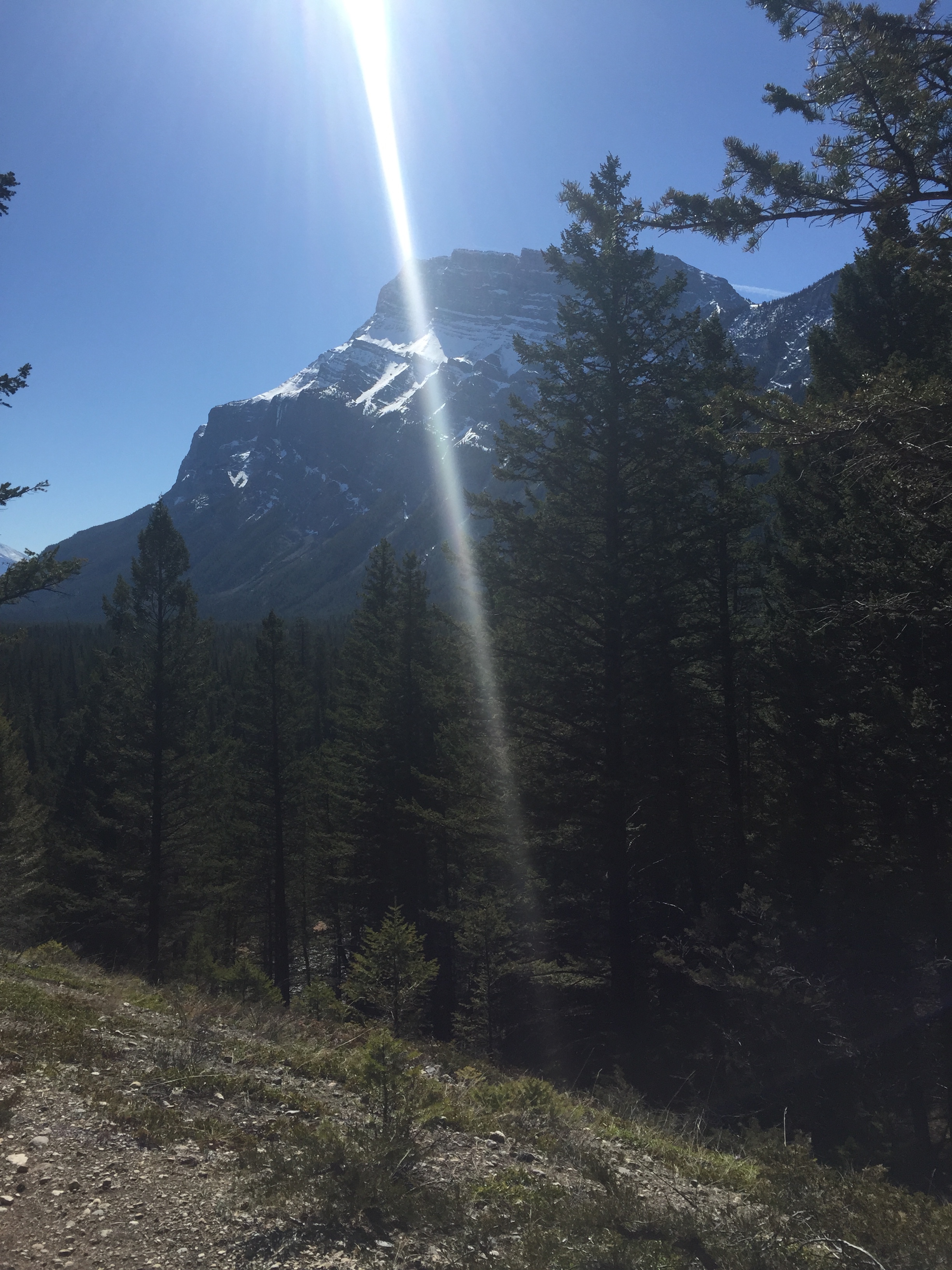 Finding a moment of calm in the midst of a busy day