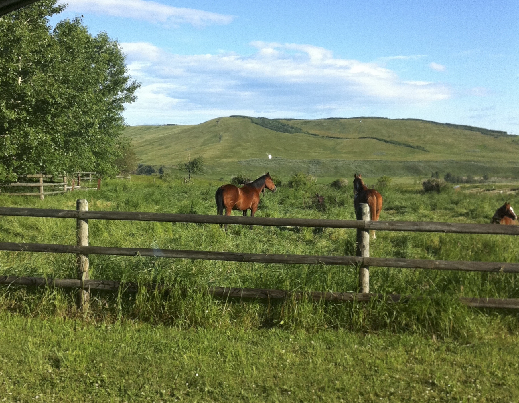 If only all farms could look like this :) A view from a home visit a few years back.
