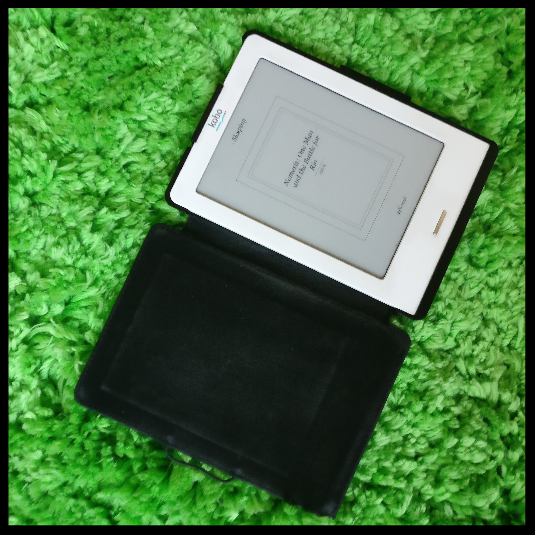 E-reader. Worth its weight in gold.
