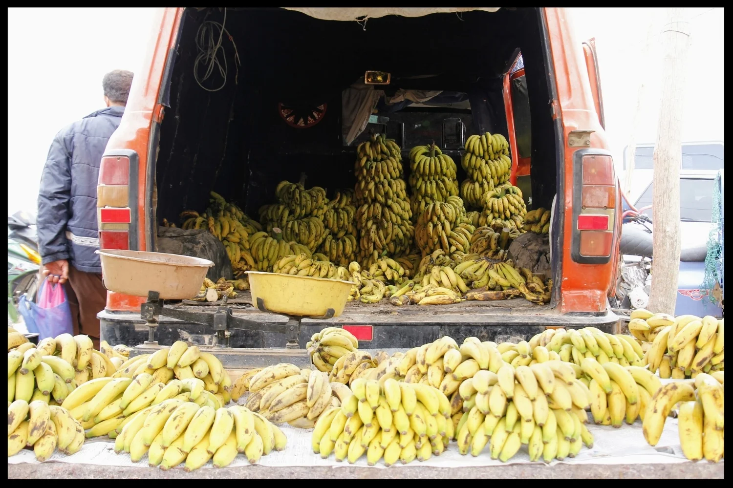 Banana Republic or land of opportunity? You decide.