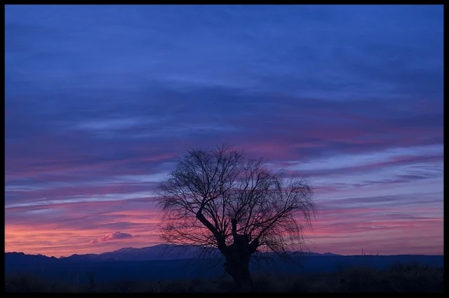 sunset-2788730_640.jpg