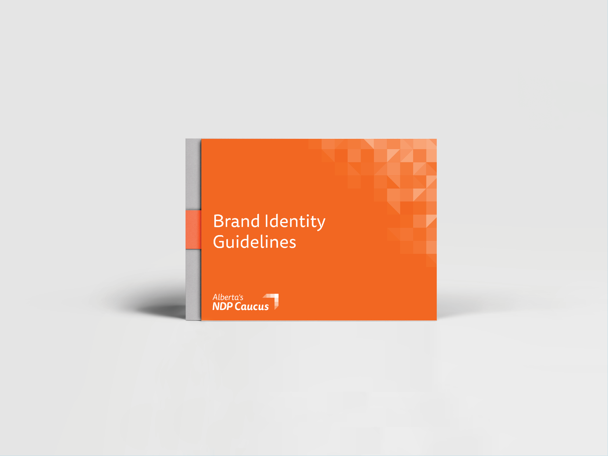 Fernando Vargas - NDP Caucus -Website Graphics 2019-1.png