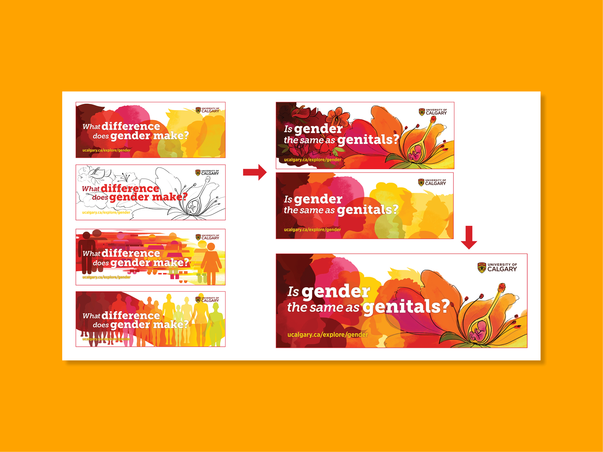 Fernando Vargas - Explore UCalgary-Website Graphics 2019-15.png