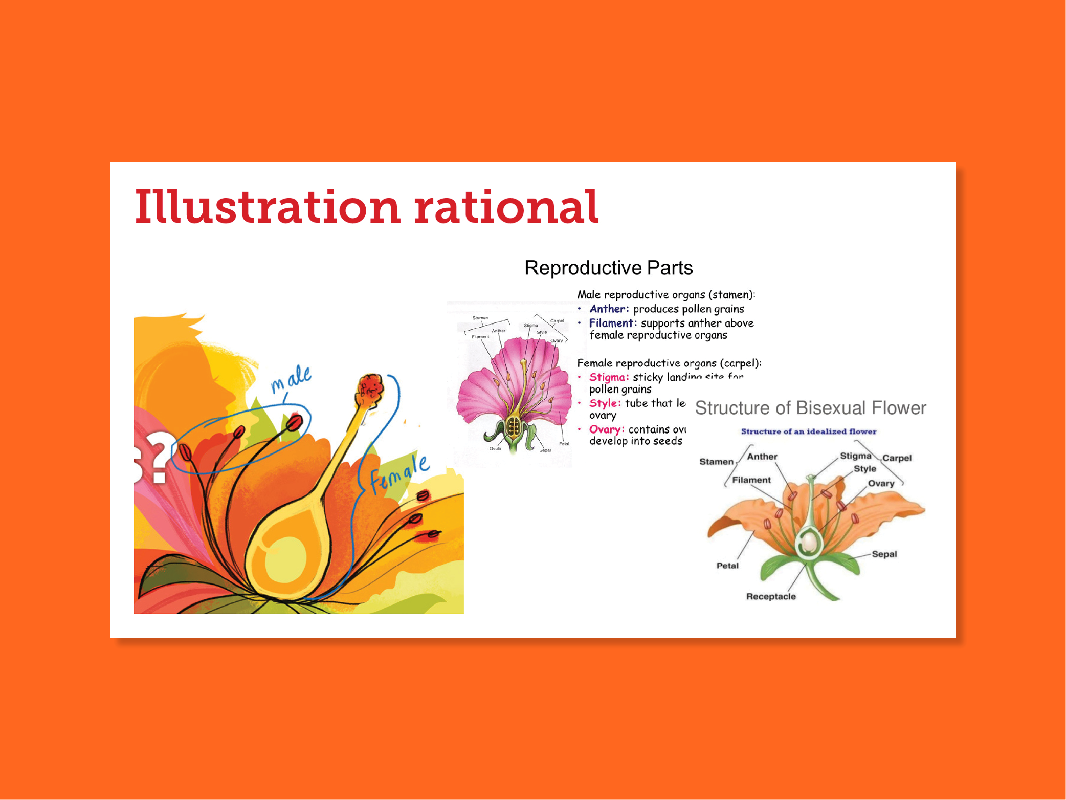 Fernando Vargas - Explore UCalgary-Website Graphics 2019-16.png