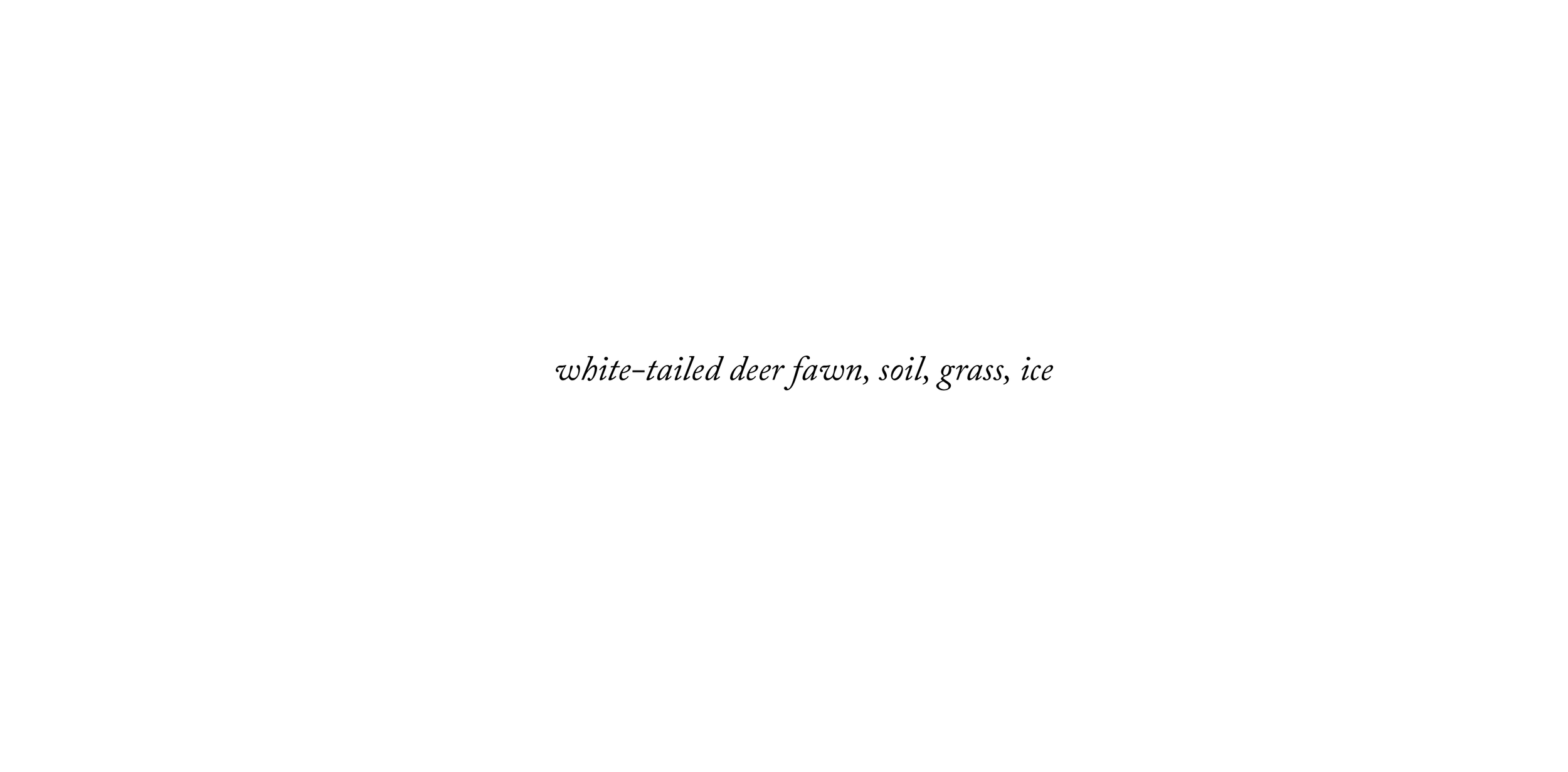  Grass is Green, 2017 